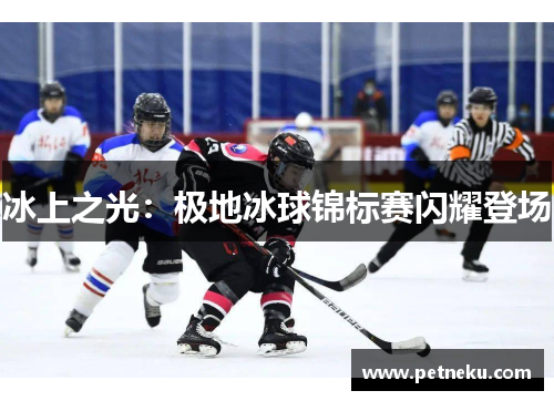 冰上之光：极地冰球锦标赛闪耀登场